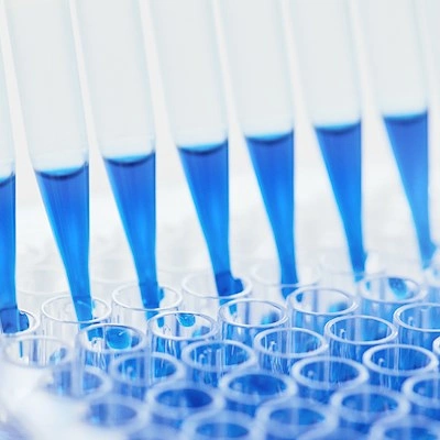 Our high standards of clonal selection guarantee high performing antibodies.