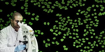 Monoclonal & Polyclonal Antibodies